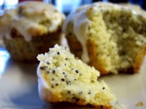 lemon-poppy seed muffins